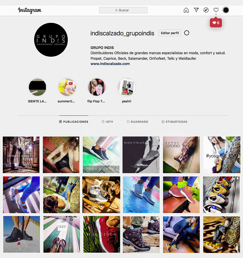 instagrma indis web